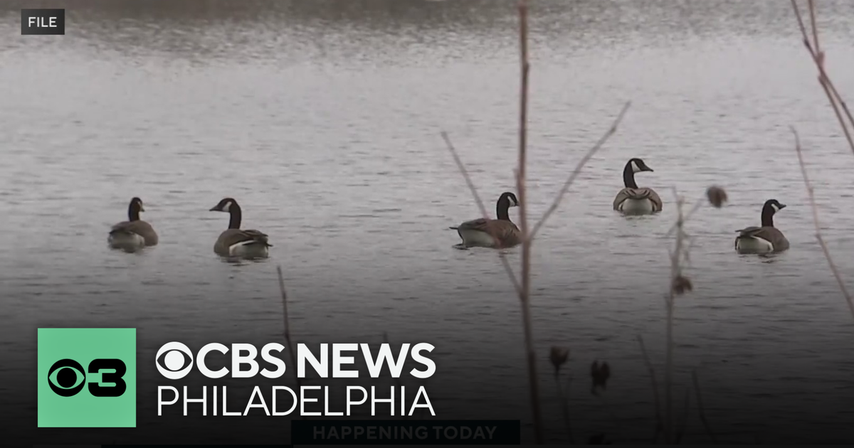 Gov. Shapiro meeting with farmers to discuss managing bird flu in Pennsylvania
