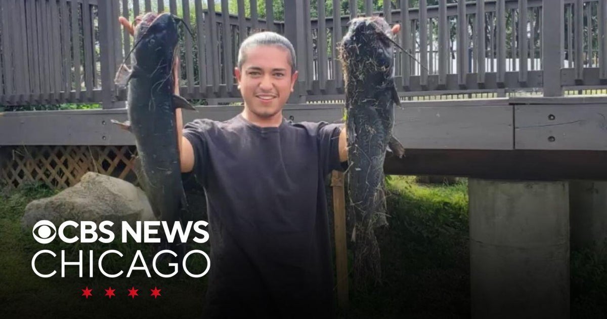 Person in custody after Uber Eats driver killed near Loretto Hospital ...