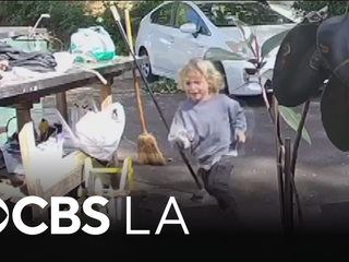 Video shows coyote chasing child outside Pasadena home - CBS Los Angeles