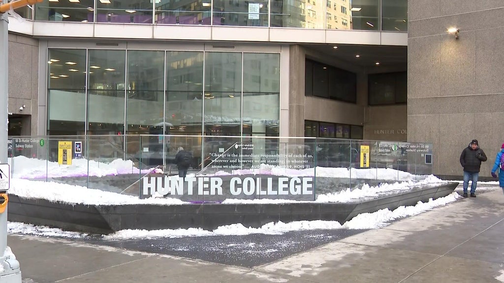 Hunter College professor placed on leave over offensive comments during Zoom meeting