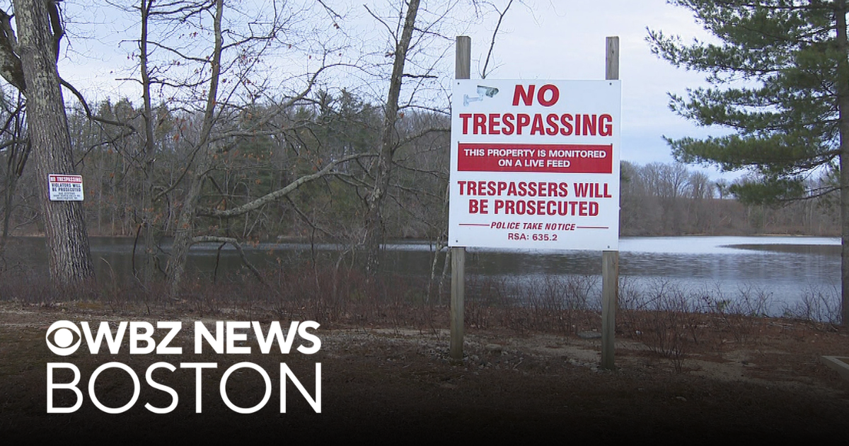 Arrest made in death of baby found in Manchester, NH pond - CBS Boston