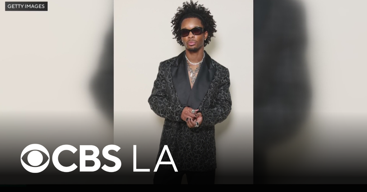 UPDATE - Body Found in Singer D4vd's Tesla ID'd as Missing 14 Year Old ...