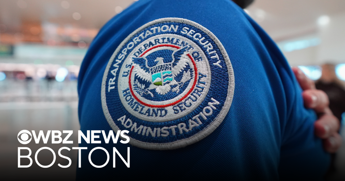 TSA officers at Logan Airport get first partial paycheck amid DHS ...