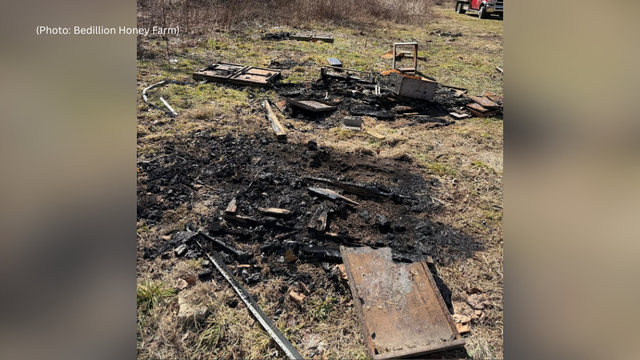 kdka-bedillion-honey-farm.png 