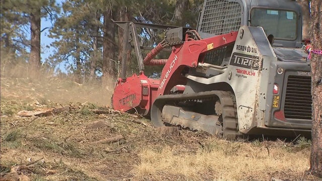 brush-piles-foothills-fire-mitigation.jpg 