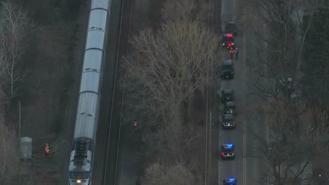 Metra MD vs Pedestrian 