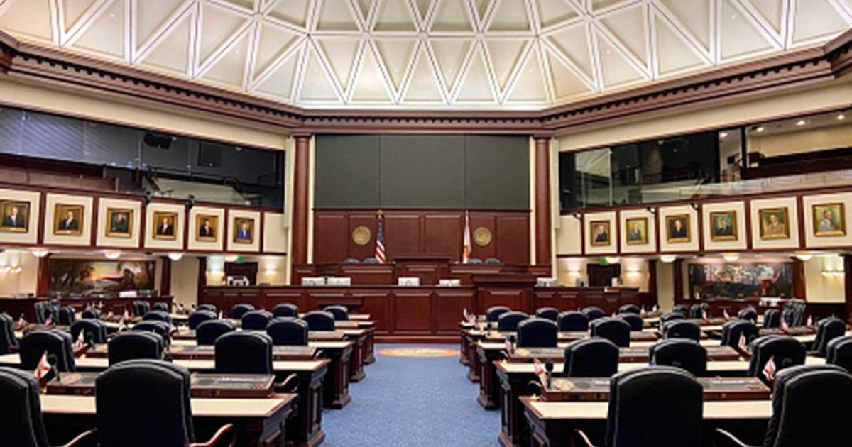 Florida legislature creates dozens of domestic violence bills as cases rise