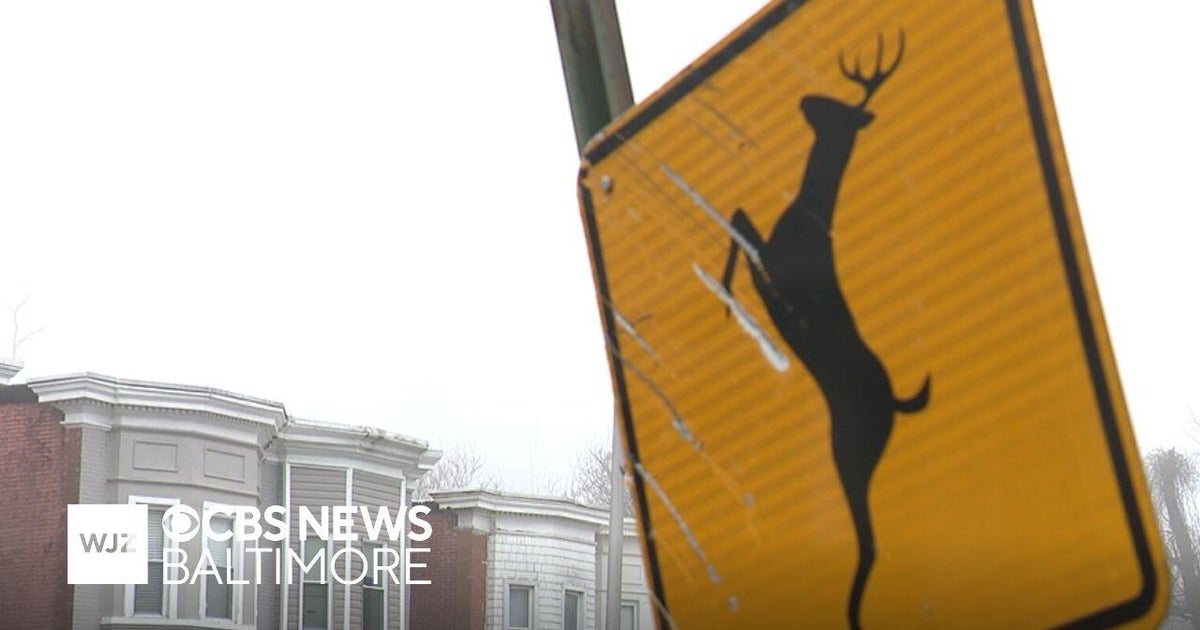 Baltimore residents push back against city's plan to manage wild deer population