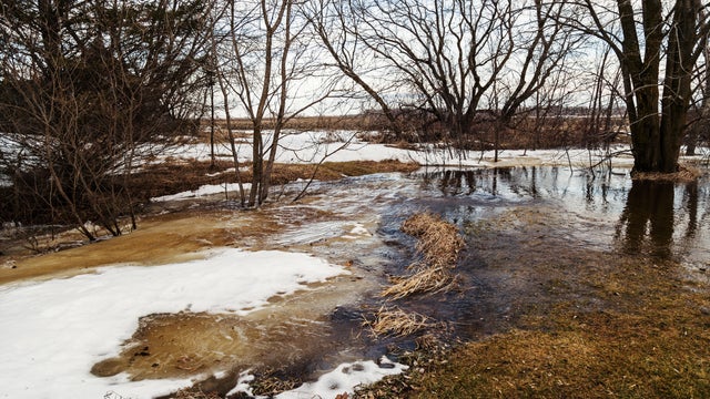 Waters of Springtime 