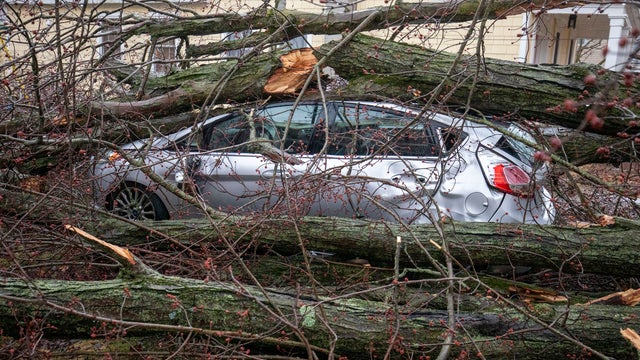 Tornado Leaves Multiple People Dead in Southwest Michigan 