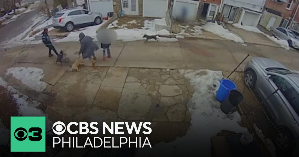 Philadelphia women fights to file charges after being attacked by 3 dogs in Olney