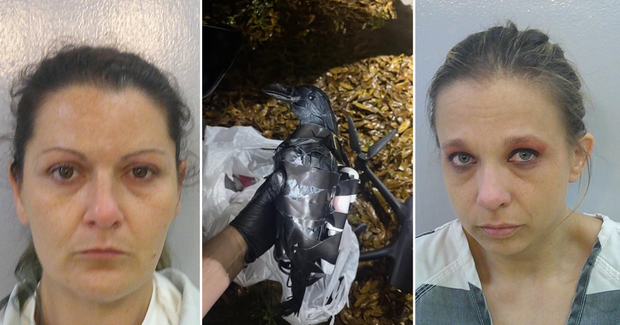 2 Texas women charged for using drones, plastic crows to smuggle drugs, phones into Louisiana federal prison 