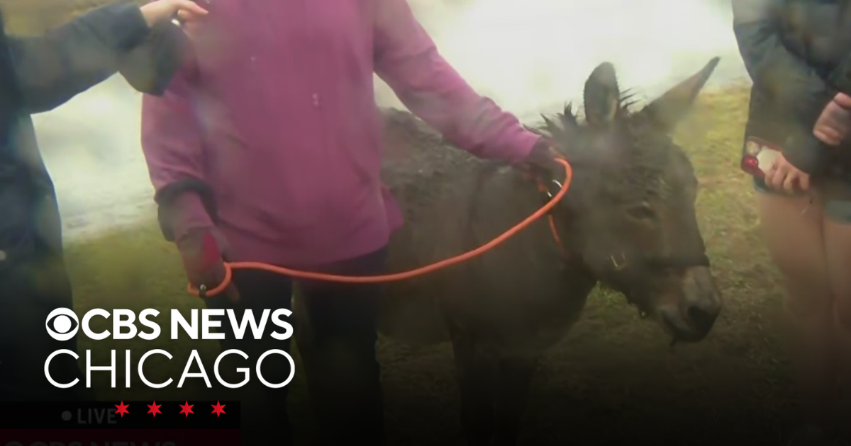 Farm animals impacted as suspected tornado hits Northwest Indiana