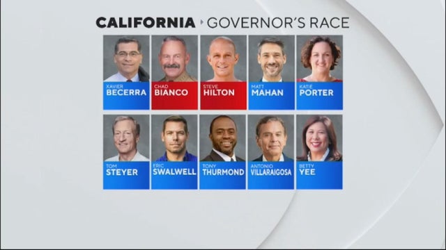 ca-gov-race-candidates.jpg 