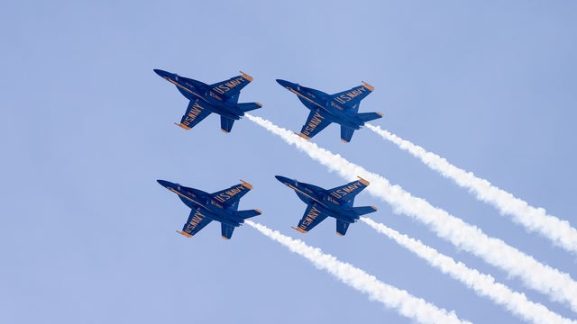 Bethpage Air Show 2022 in New York 