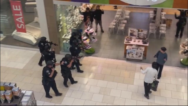 mall-swatting.jpg 