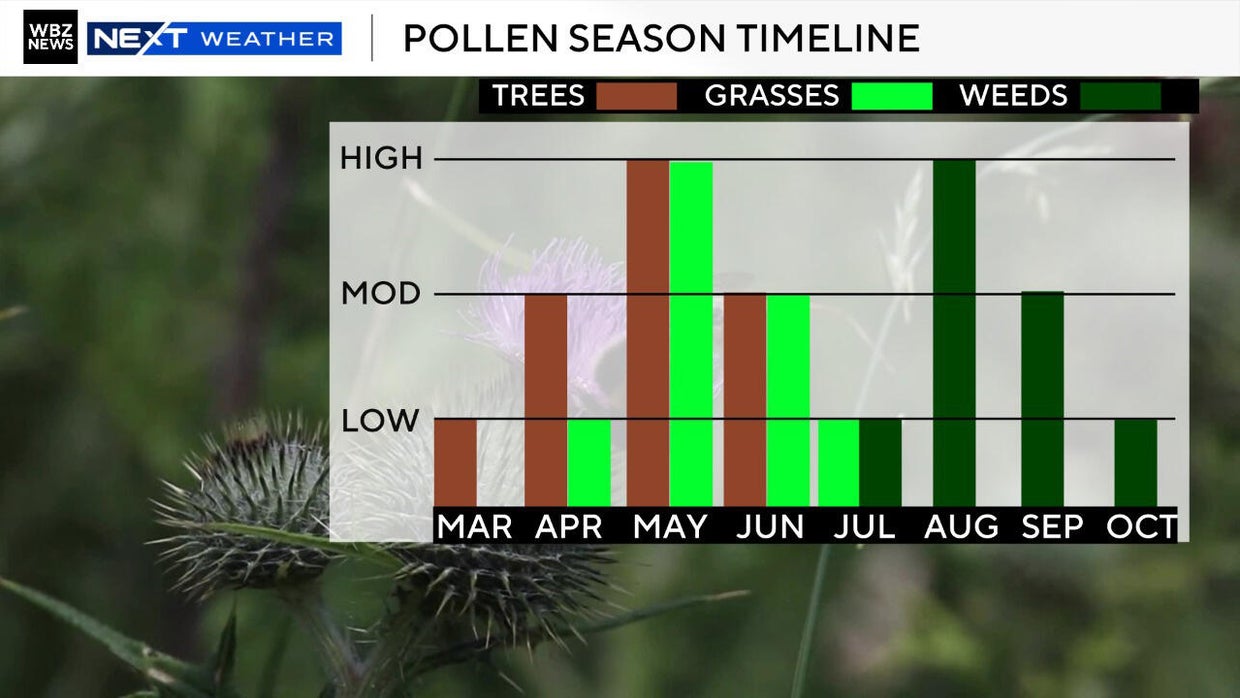 When does allergy season start? Here's the pollen forecast for ...