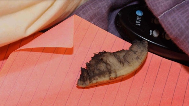 Jocelyn Peters evidence