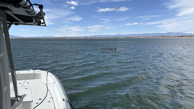 capsized-boat-lake-pueblo-cpw.jpg 