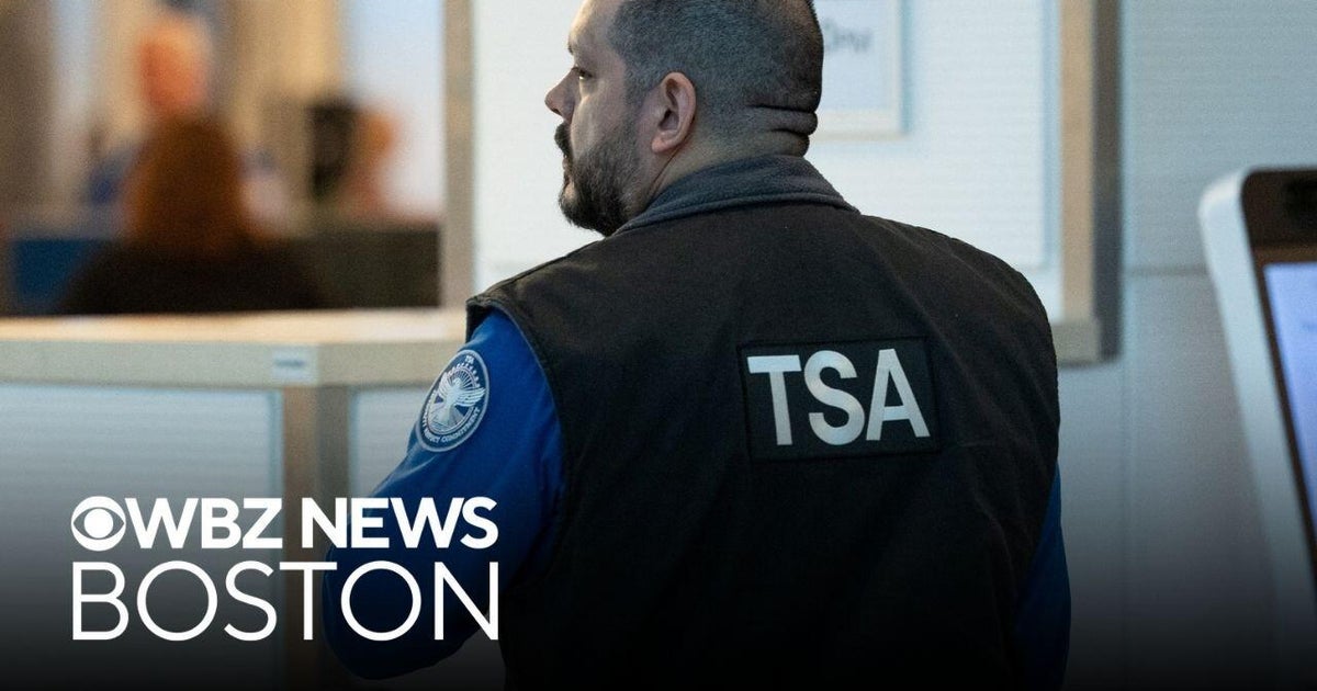 Logan Airport security lines moving smooth despite government shutdown ...