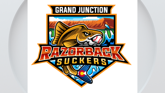 razorback-suckers-grand-junction.png 