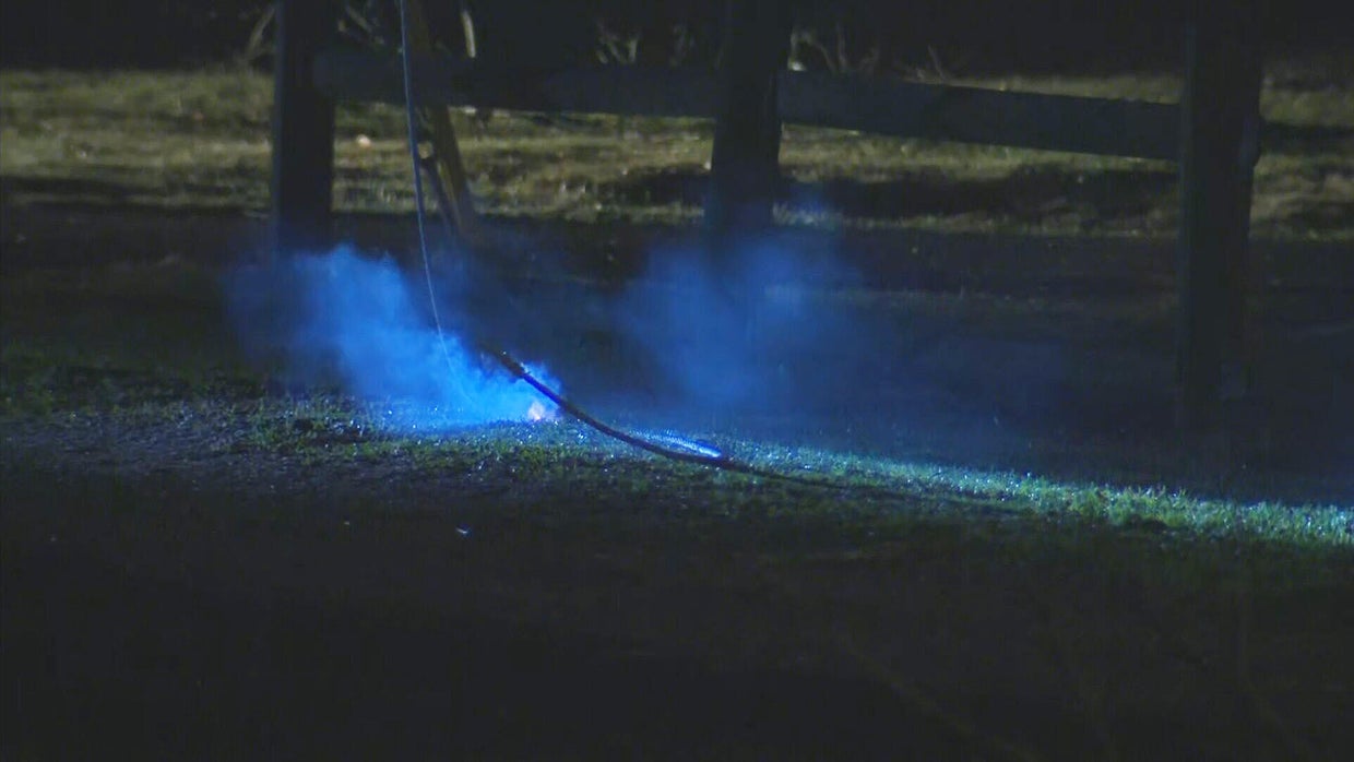 Power outages across Massachusetts after strong winds pull down trees ...