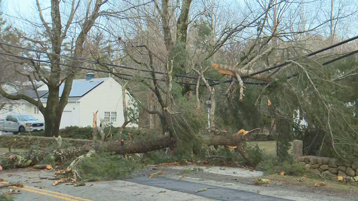 Power outages across Massachusetts after strong winds pull down trees ...