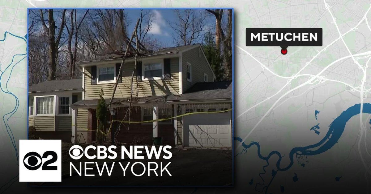 Fallen tree slices home in half in Metuchen, New Jersey