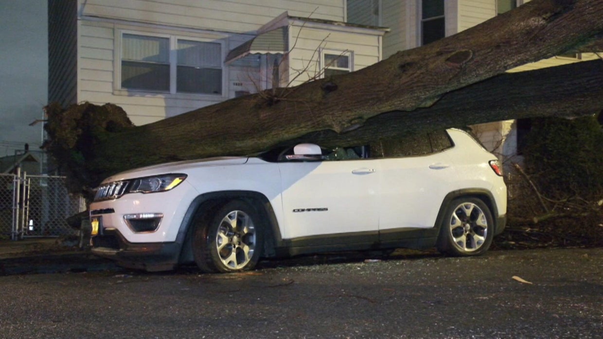 Weather damage, power outages in New York area as storms topple trees ...