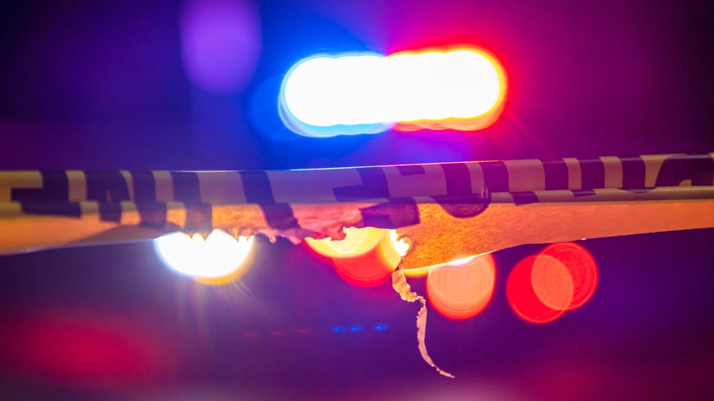 Police officer fatally shoots loose dog, injures owner in Pennsylvania, authorities say