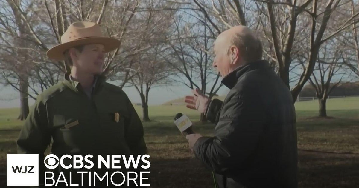 Where’s Marty: Fort McHenry in Baltimore prepares for cherry blossom season