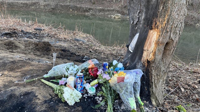 Generic police lights and crime scene tape 