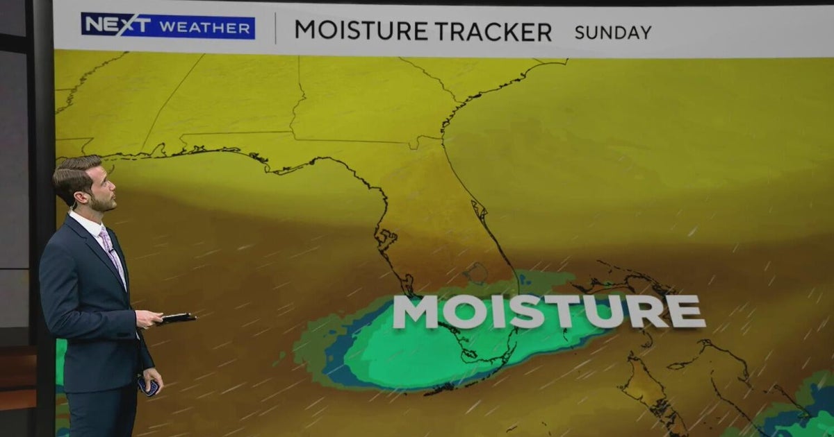 South Florida to see sunny, warm week after wonderful weekend - CBS Miami