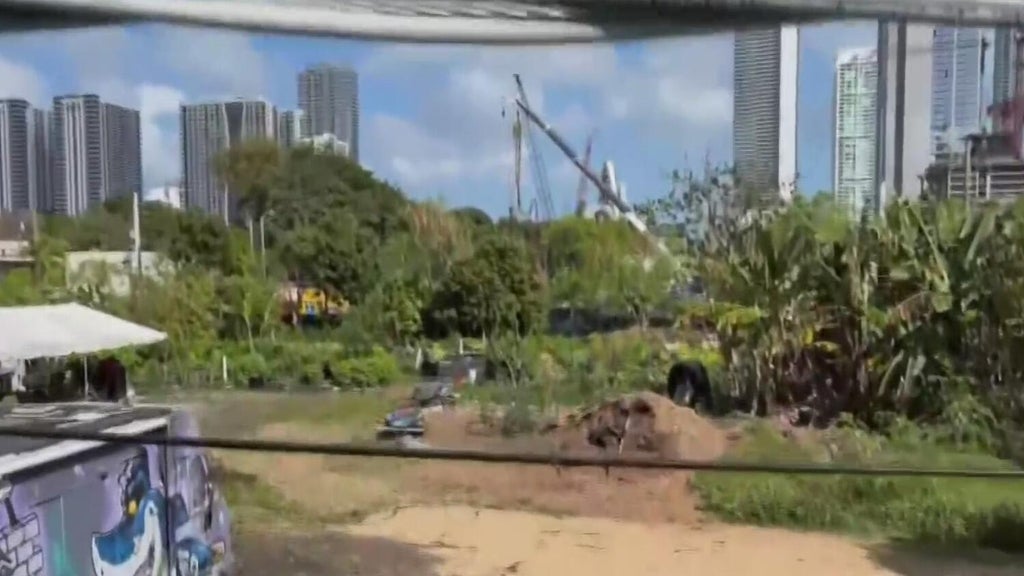 State will arrest third teen suspect in alleged rape of 12-year-old Miami girl