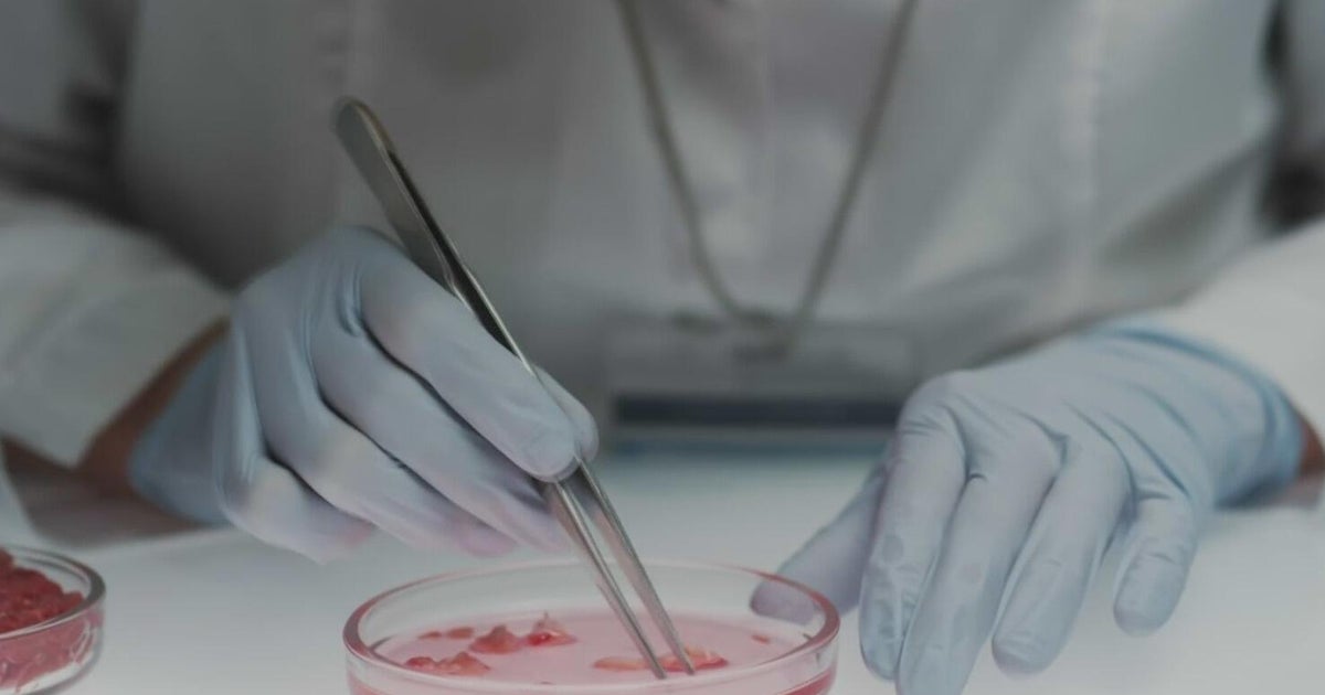 Florida’s ban on lab-grown meat to remain in effect after court upholds law