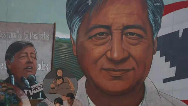 cesar-chavez-artwork.jpg 