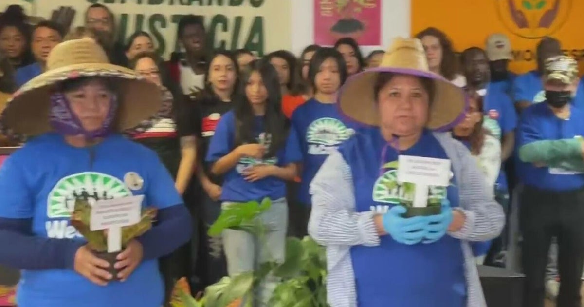 New report warns the dangerous labor conditions of plant nursery workers