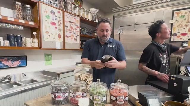 A man stands behind a counter that has a variety of mushroom products 