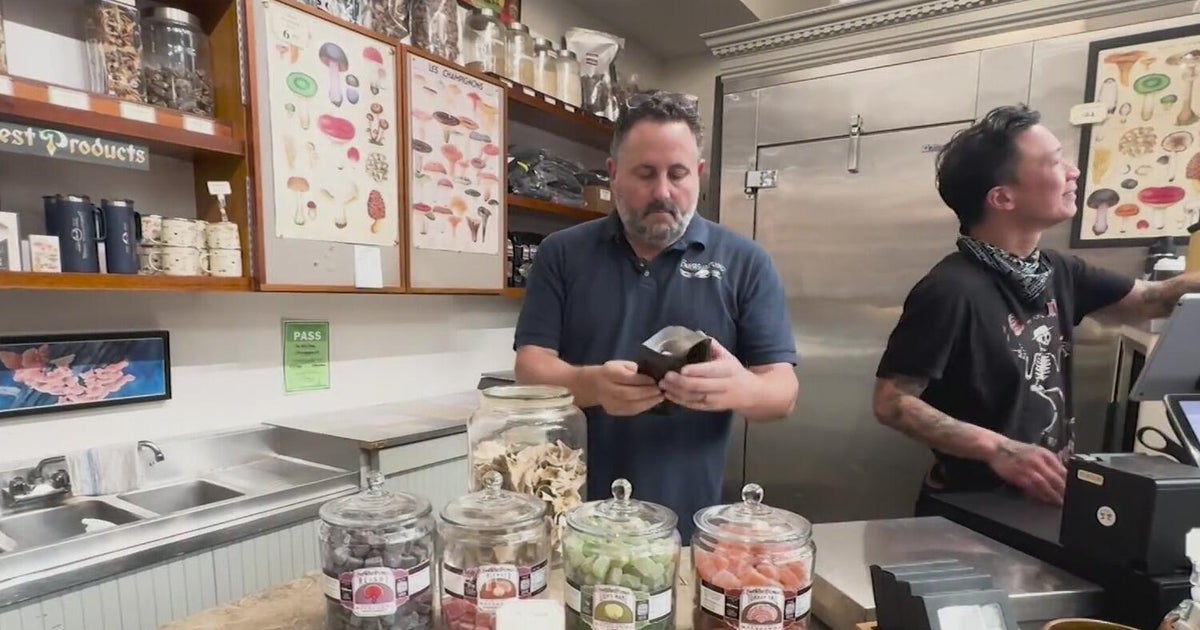 Mushrooms getting more attention from Bay Area culinary and wellness scenes