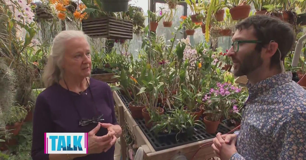 An exclusive look at a private orchid collection - CBS Pittsburgh