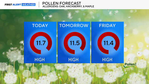 pollen-forecast.png 