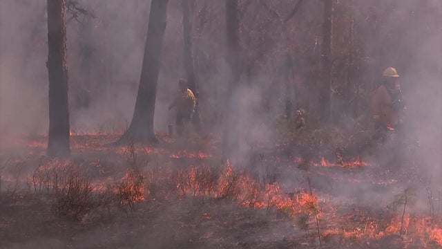 New Jersey Forest Fire Service unveils new tool to help fight wildfires 