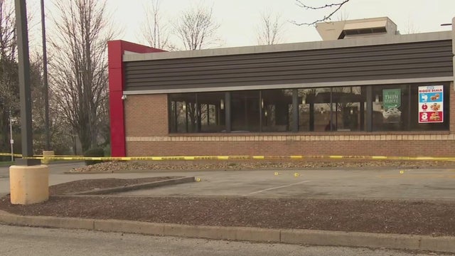 Police light on a car of the German police 
