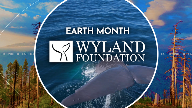 earth-month-wyland-foundation.png 