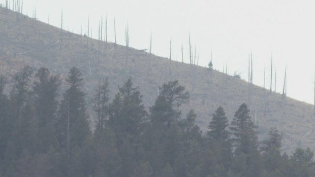 فوائد الرهان على الرياضة-pkg-frame-623.jpg 