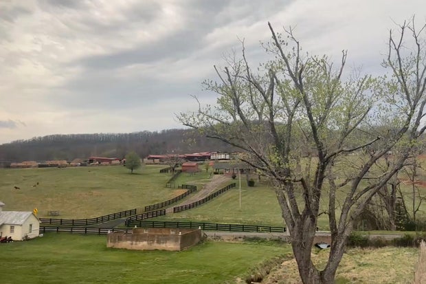 Amtrak Georgia 