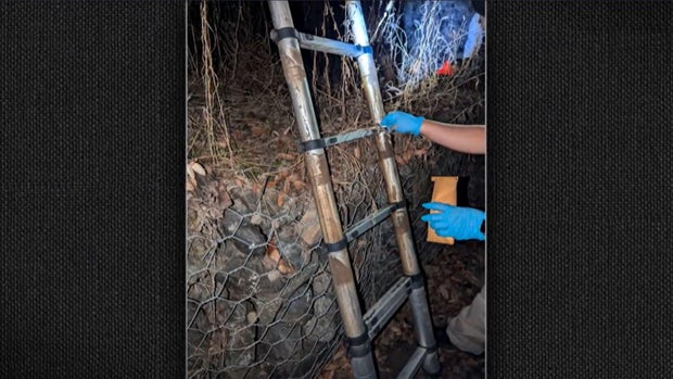 Matthew Muller evidence 