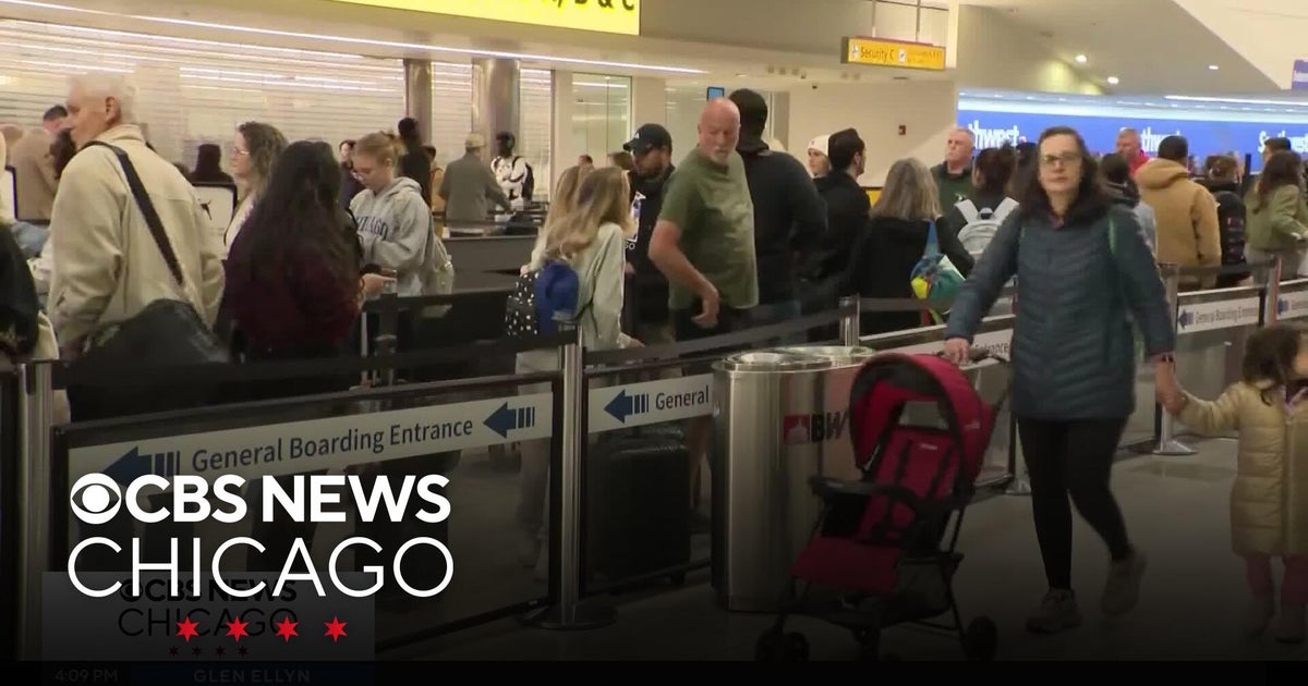 ICE will keep assisting TSA 