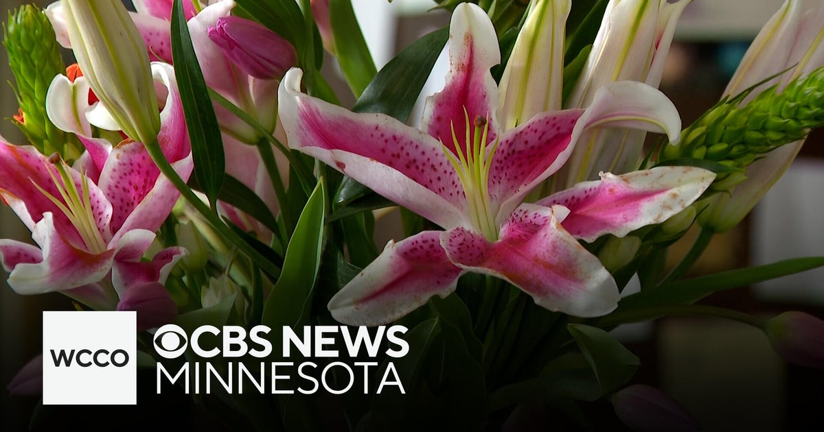 How higher gas prices are impacting the cost of flowers - CBS Minnesota