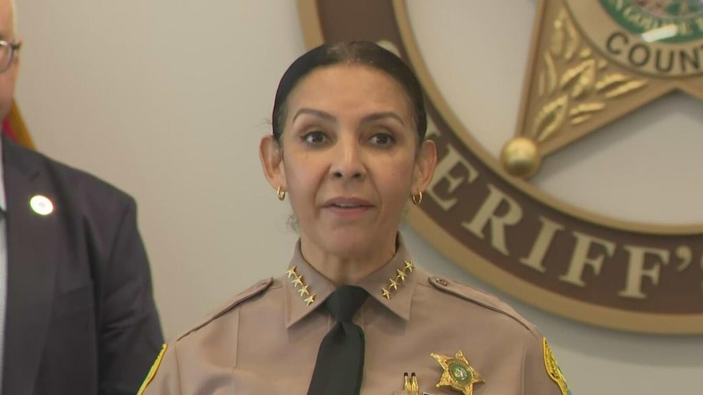 Miami-Dade Sheriff launches "SAFE" program to aid drivers with special needs